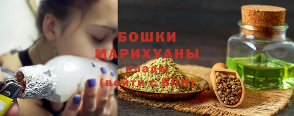 дурь Михайловск