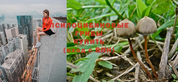 дурь Михайловск