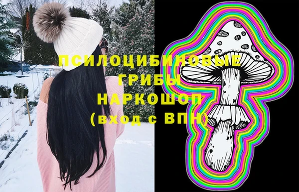 PSILOCYBIN Михайловка