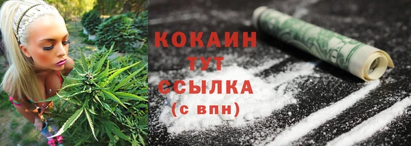 дурь Михайловск