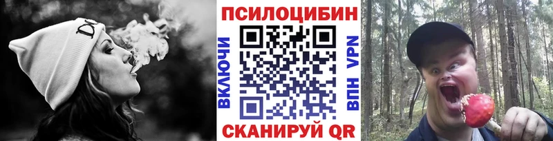 Галлюциногенные грибы мухоморы  KRAKEN как войти  Елец  сколько стоит 