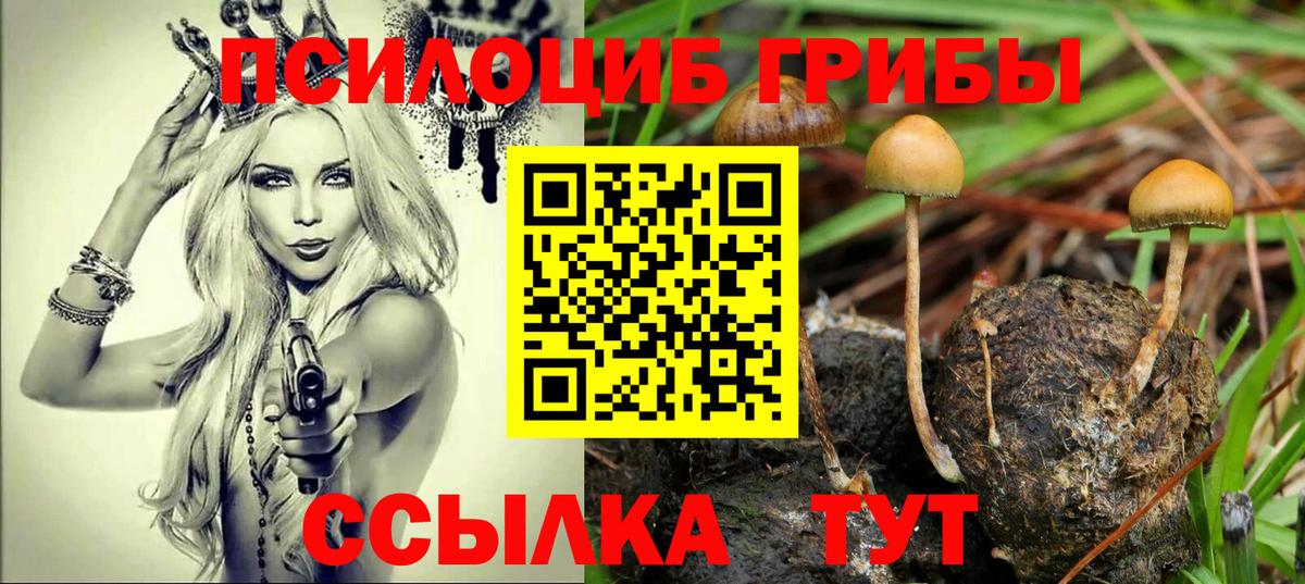 Галлюциногенные грибы GOLDEN TEACHER Елец