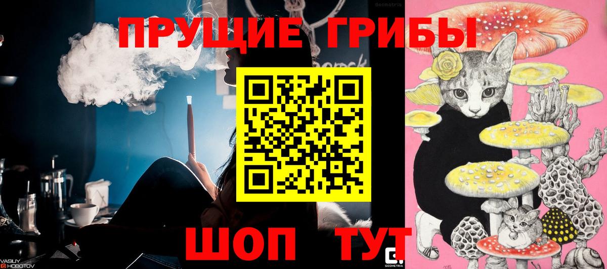 Псилоцибиновые грибы мухоморы  Псилоцибиновые грибы Psilocybine cubensis  Вход с VPN  Елец 